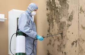 Mold Remediation for Rental Properties in Riverton, NJ